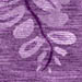 Wysteria